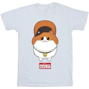 Vêtements Homme T-shirts manches longues Disney Big Hero 6 Baymax Kitten Face Blanc