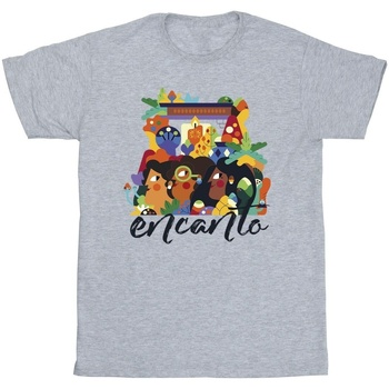 Vêtements Garçon T-shirts manches courtes Disney Encanto Sisters Gris