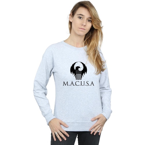 Vêtements Femme Sweats Fantastic Beasts MACUSA Logo Gris