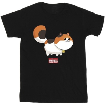 Vêtements Homme T-shirts manches longues Disney Big Hero 6 Baymax Kitten Pose Noir