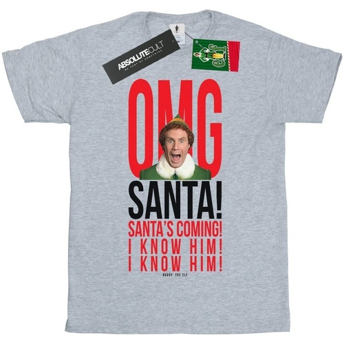 Vêtements Fille T-shirts manches longues Elf OMG Santa I Know Him Gris