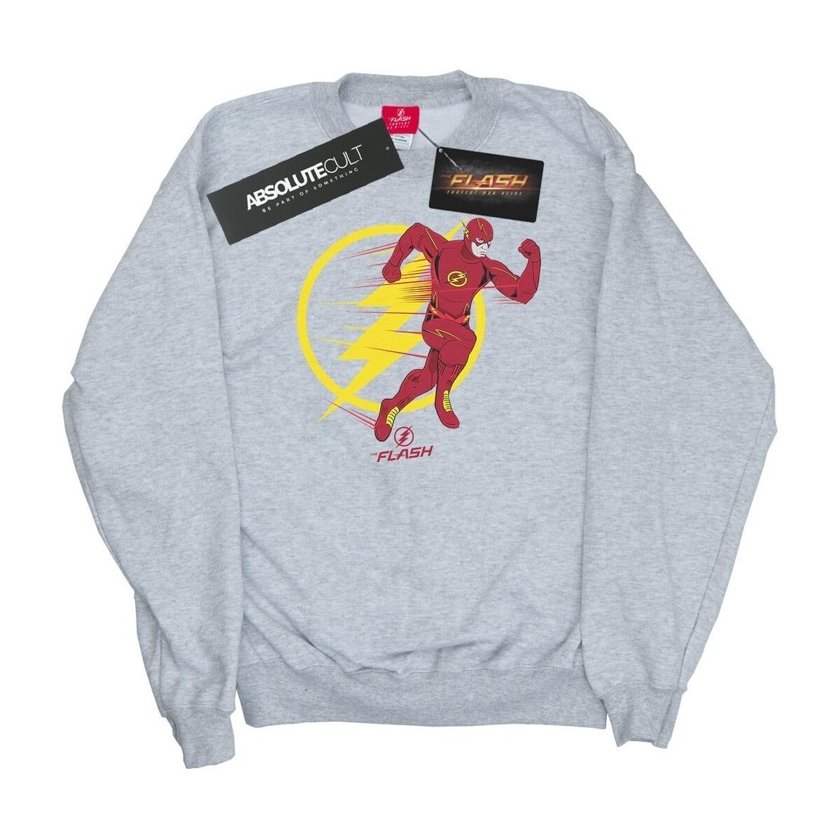 Vêtements Femme Sweats Dc Comics The Flash Running Emblem Gris