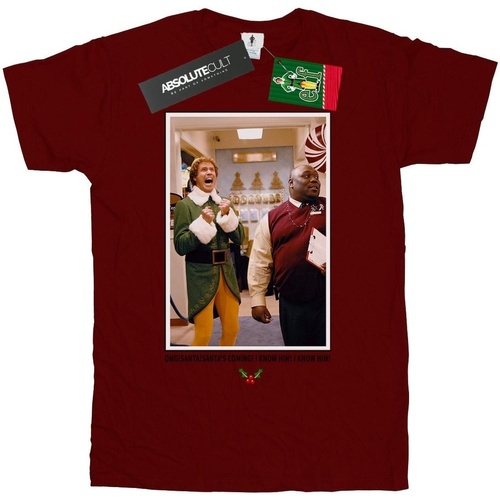 Vêtements Fille T-shirts manches longues Elf OMG Santa Photo Multicolore