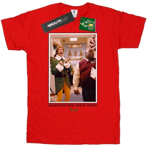 Vêtements Fille T-shirts manches longues Elf OMG Santa Photo Rouge
