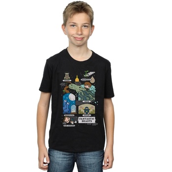 Vêtements Garçon T-shirts manches courtes Fantastic Beasts Chibi Newt Noir