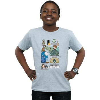 Vêtements Garçon T-shirts manches courtes Fantastic Beasts Chibi Newt Gris