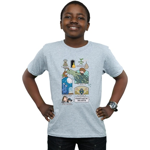 Vêtements Garçon T-shirts manches courtes Fantastic Beasts Chibi Newt Gris