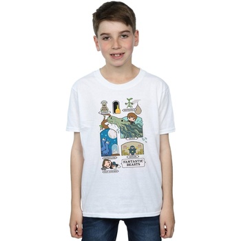 Vêtements Garçon T-shirts manches courtes Fantastic Beasts Chibi Newt Blanc