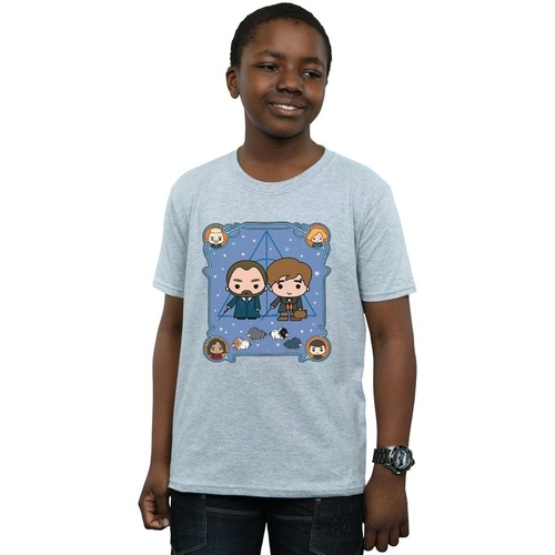 Vêtements Garçon T-shirts manches courtes Fantastic Beasts Chibi Newt And Dumbledore Gris