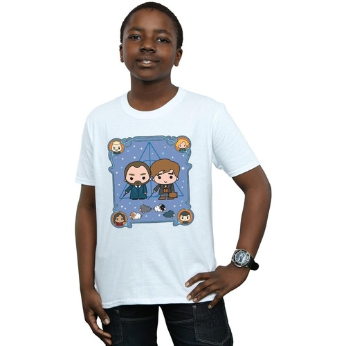 Vêtements Garçon T-shirts manches courtes Fantastic Beasts Chibi Newt And Dumbledore Blanc