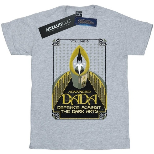 Vêtements Fille T-shirts manches longues Fantastic Beasts Advanced DADA Gris
