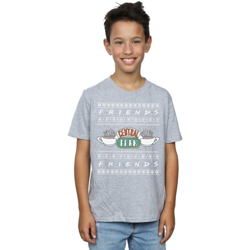 Vêtements Garçon T-shirts manches courtes Friends Christmas Tree Lights Gris