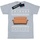 Vêtements Garçon T-shirts manches courtes Friends Fair Isle Couch Gris