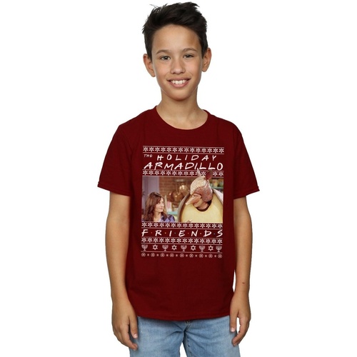 Vêtements Garçon T-shirts manches courtes Friends Fair Isle Holiday Armadillo Multicolore