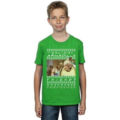 Vêtements Garçon T-shirts manches courtes Friends Fair Isle Holiday Armadillo Vert