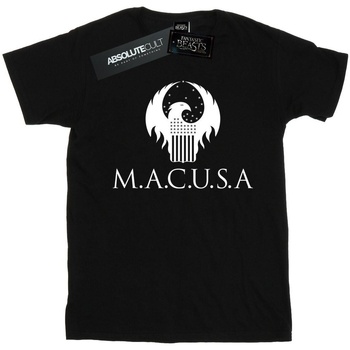 Vêtements Fille T-shirts manches longues Fantastic Beasts MACUSA Logo Noir