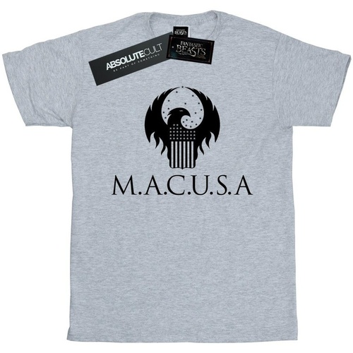 Vêtements Fille T-shirts manches longues Fantastic Beasts MACUSA Logo Gris