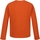 Vêtements Enfant T-shirts manches longues Regatta Wenbie III Keep Going Orange
