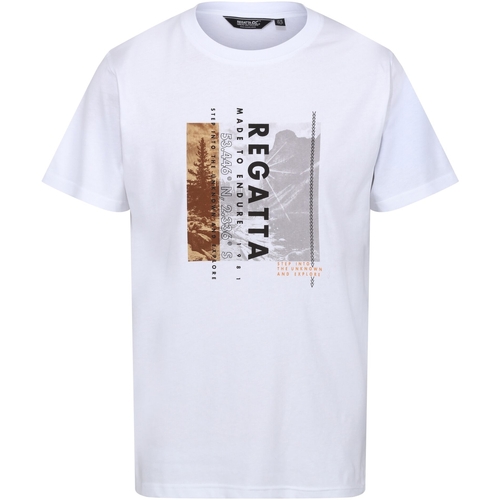 Vêtements Homme T-shirts manches longues Regatta Cline VII Blanc