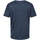Vêtements Enfant T-shirts manches courtes Regatta Alvarado VII Bleu