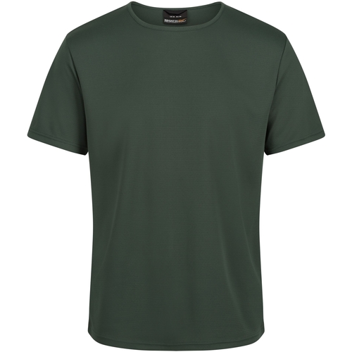 Vêtements Homme T-shirts manches longues Regatta Pro Vert