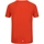 Vêtements Homme T-shirts manches longues Regatta Ambulo Rouge