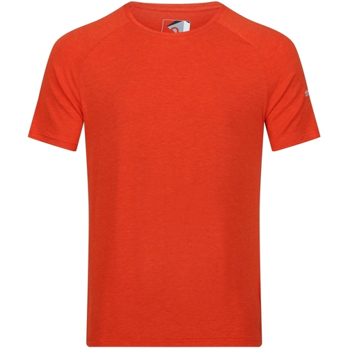 Vêtements Homme T-shirts manches courtes Regatta Ambulo Rouge