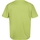 Vêtements Enfant T-shirts manches courtes Regatta Alvarado VII Vert