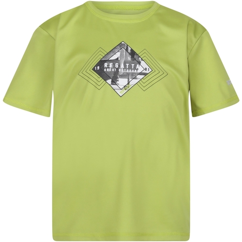 Vêtements Enfant T-shirts Grigio manches courtes Regatta  Vert