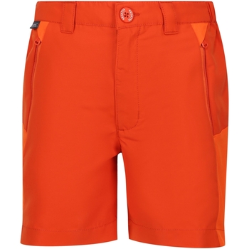 Vêtements Enfant Shorts / Bermudas Regatta Sorcer Mountain III Orange