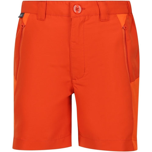 Vêtements Enfant Shorts rnr / Bermudas Regatta Sorcer Mountain III Orange