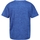 Vêtements Enfant T-shirts manches courtes Regatta Findley Bleu