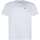 Vêtements Homme T-shirts manches courtes Levi's 106222VTPE24 Blanc