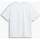 Vêtements Homme T-shirts manches courtes Levi's 106222VTPE24 Blanc