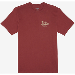 Vêtements Garçon T-shirts & Polos Billabong Lounge Rouge
