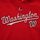 Vêtements Enfant Sweats Majestic Hoodie  Washington Nationals MLB Rouge