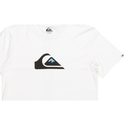 Vêtements Homme Débardeurs / T-shirts sans manche Quiksilver Comp Logo Blanc