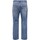 Vêtements Homme Jeans droit Only & Sons  22026781 Multicolore