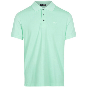 Vêtements Homme Polos manches courtes O'neill N02400-15043 Vert