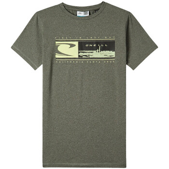 Vêtements Garçon T-shirts manches courtes O'neill 4850055-16028 Vert