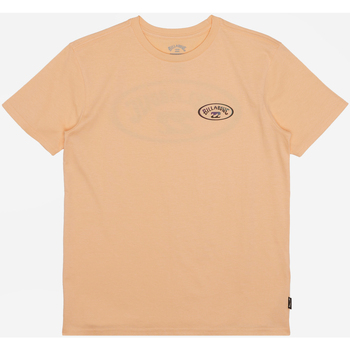 Vêtements Garçon T-shirts & Polos Billabong Crossboards Orange