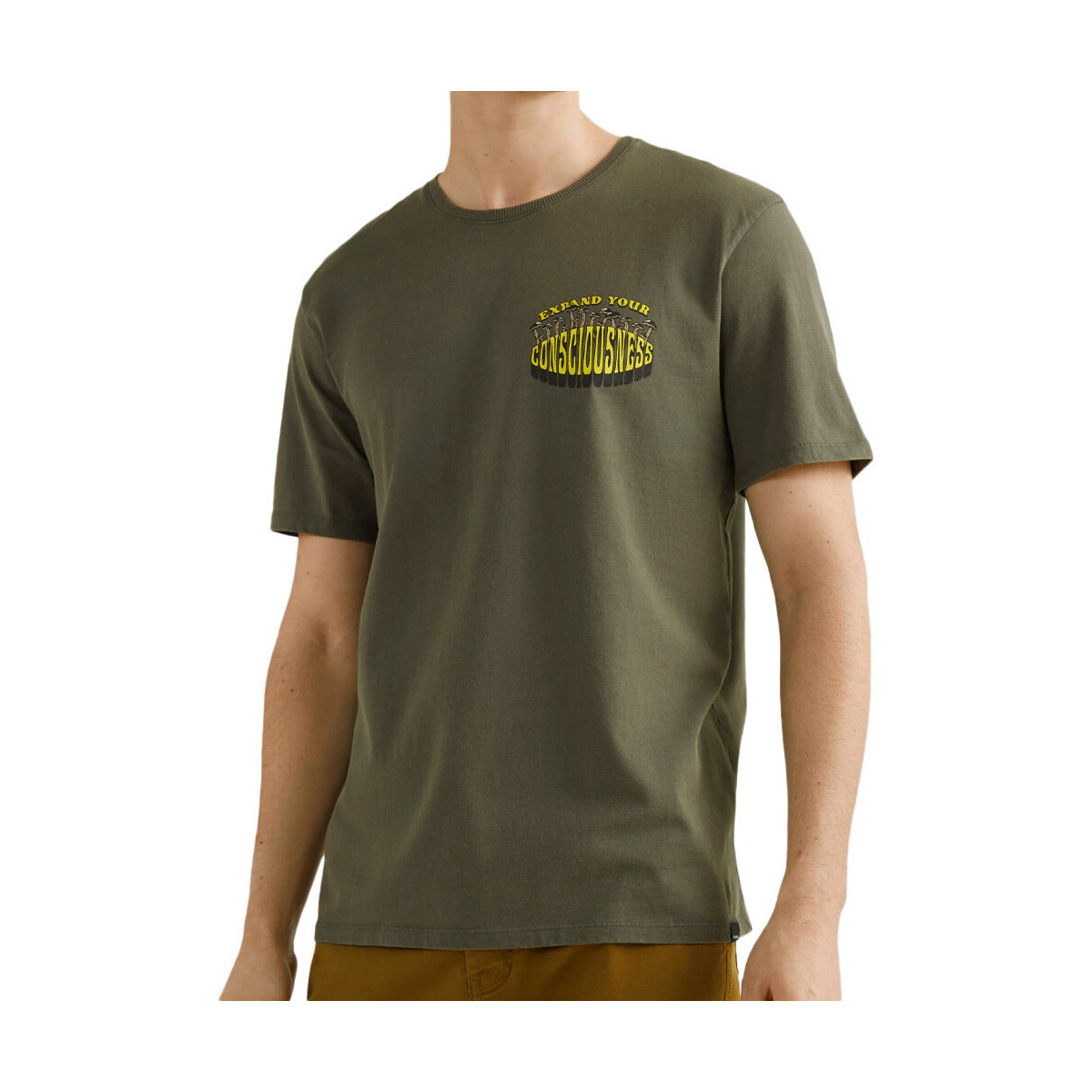 Vêtements Homme T-shirts & Polos O'neill 2850072-16016 Vert