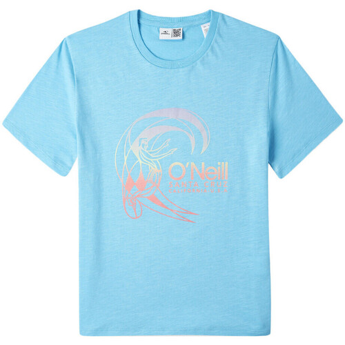 Vêtements Garçon T-shirts manches courtes O'neill 3850026-15046 Bleu