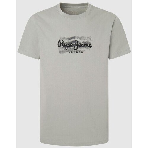 Vêtements Homme T-shirts manches courtes Pepe Worry jeans PM509204 CASTLE Gris