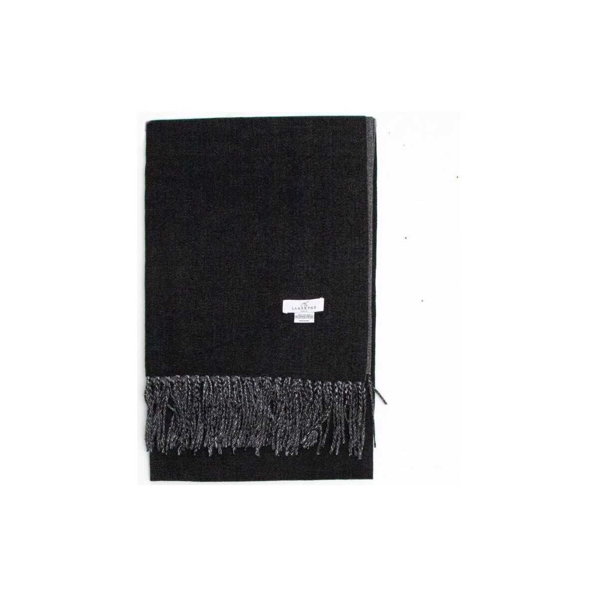 Accessoires textile Femme Echarpes / Etoles / Foulards Lamarthe ATENE EAT00 Noir