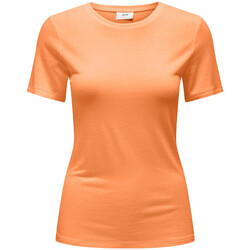 Vêtements Femme T-shirts manches courtes JDY 15316847 Orange