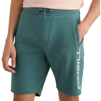 Vêtements Homme Shorts Nudie / Bermudas O'neill N02500-16013 Vert
