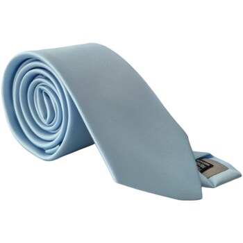 Vêtements Homme Cravates et accessoires Manuel Ritz 3630K506-243193 Bleu