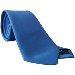 Vêtements Homme Cravates et accessoires Manuel Ritz 3630K506-243193 Bleu
