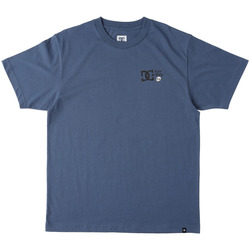 Vêtements Hyper T-shirts & Polos DC Shoes Cactus Bleu